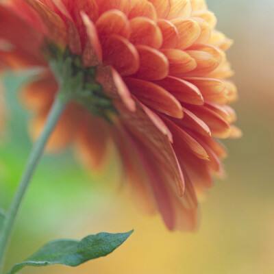 太阳集团棋牌娱乐