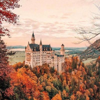 BET体育365投注官网手机app下载