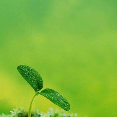 kaiyun·开云app下载