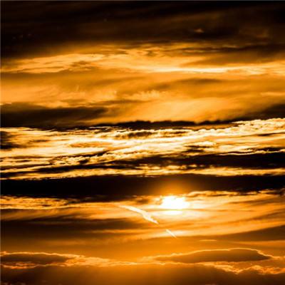 博鱼·体育下载入口