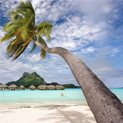 购彩中心welcome入口官方版手机app下载