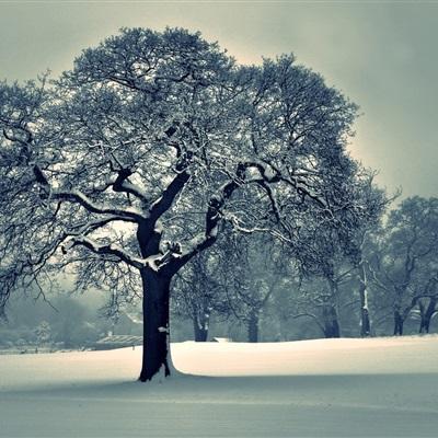 BET体育365投注官网