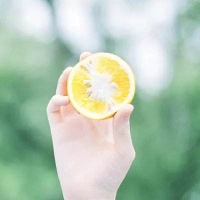 42982金牛网论坛